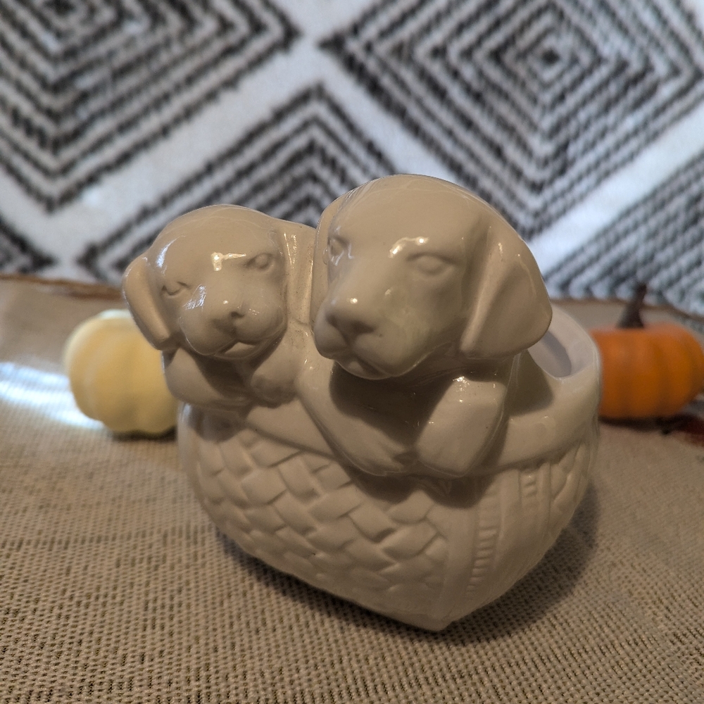 Labrador Ceramic Basket Planter Pot for 4" Plant